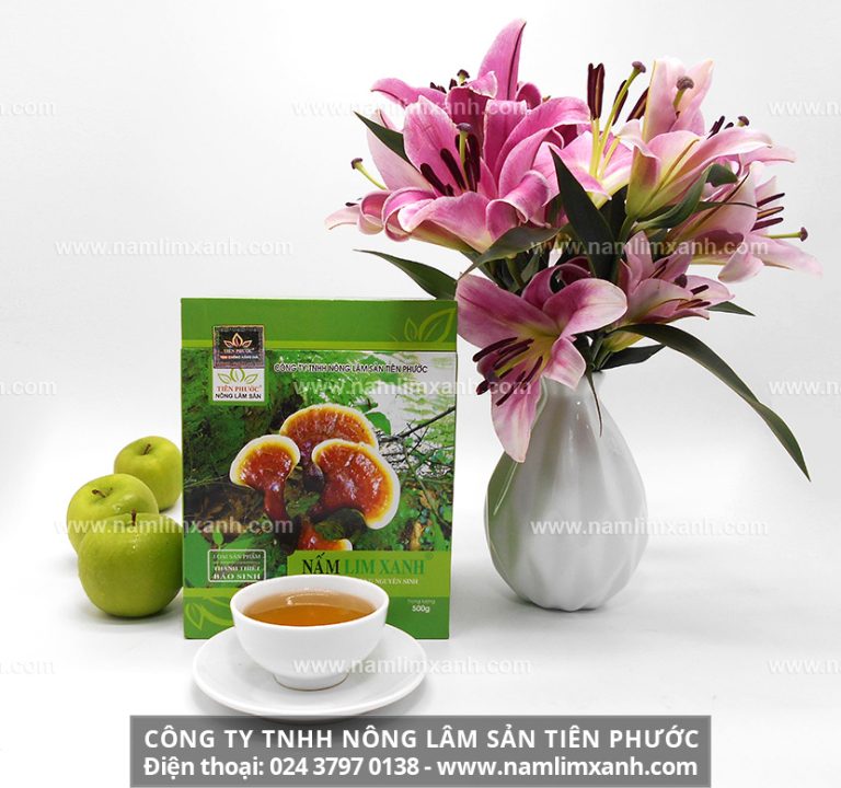 Địa chỉ đại lý bán nấm lim xanh Tiên Phước ở Tiền Giang