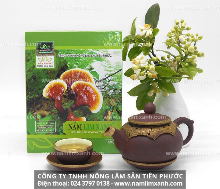 Địa chỉ nấm lim xanh tự nhiên Tiên Phước tại Đồng Nai