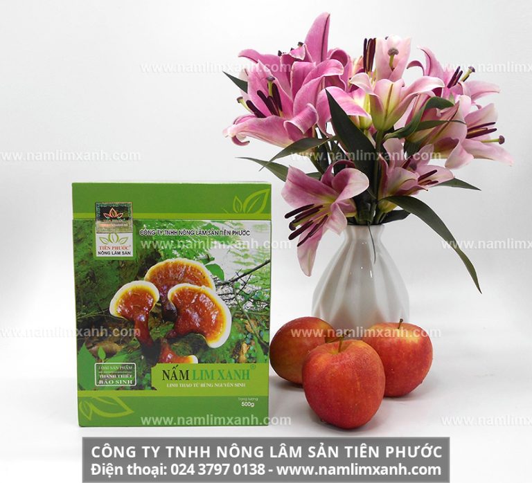 Giá bán nấm lim xanh Quảng Nam tại Thái Bình