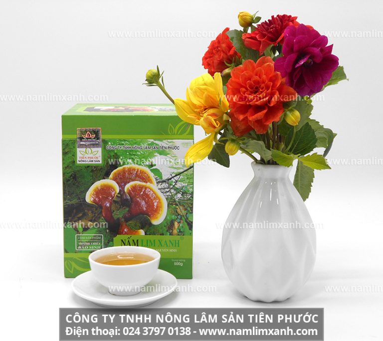 Mua nấm lim xanh Tiên Phước sẽ đảm bảo được công dụng hỗ trợ điều trị bệnh của nấm lim xanh và giá cả nấm lim xanh luôn được niêm yết công khai tại các đại lý ở Bạc Liêu.