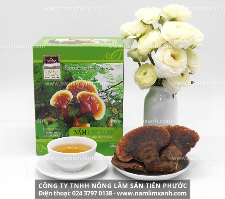 Nấm lim xanh và địa chỉ bán nấm lim xanh được nhiều người quan tâm