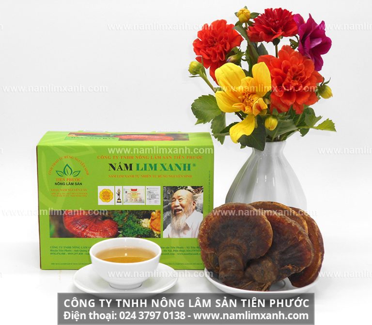 Nấm lim xanh và địa chỉ bán nấm lim xanh được nhiều người quan tâm