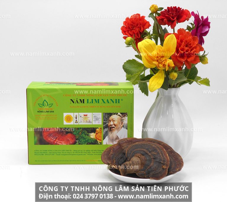 Nấm lim xanh và địa chỉ bán nấm lim xanh được nhiều người quan tâm