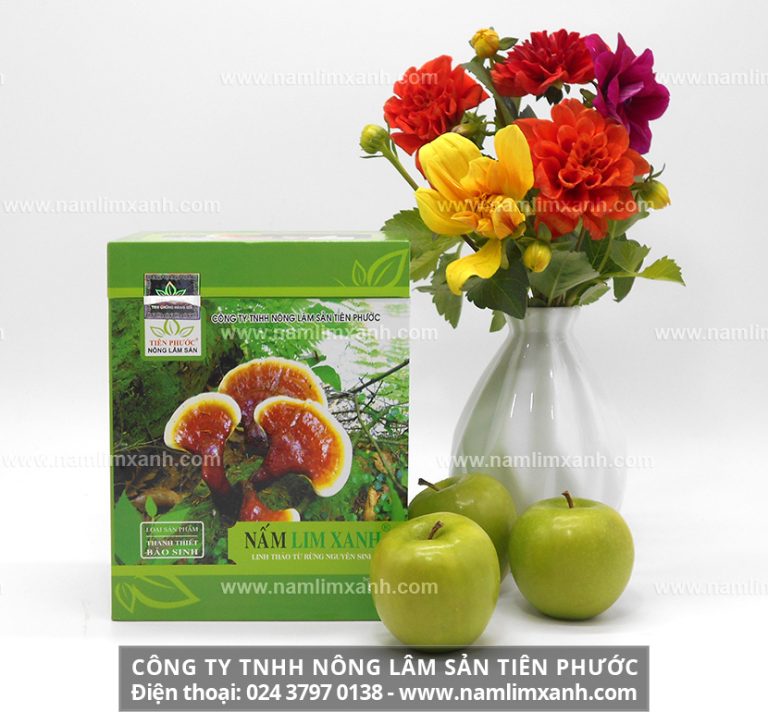 Nơi bán nấm lim xanh rừng Tiên Phước tại Đồng Tháp