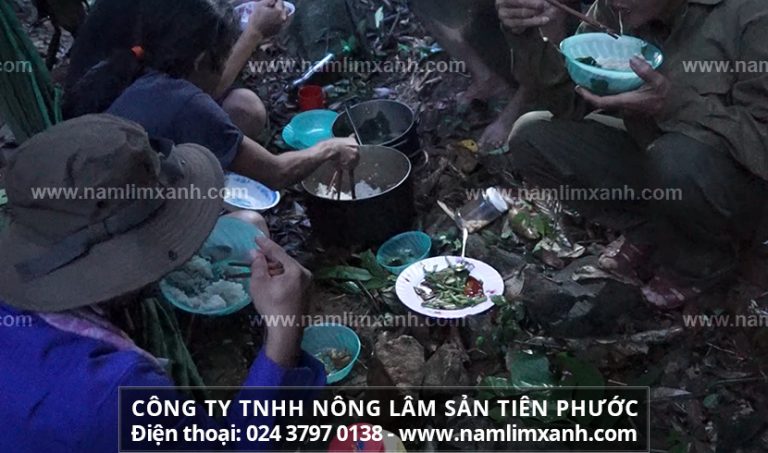 Sản phẩm nấm lim xanh Tiên Phước được bán trong các đại lý ủy quyền chính thức tại Kiên Giang