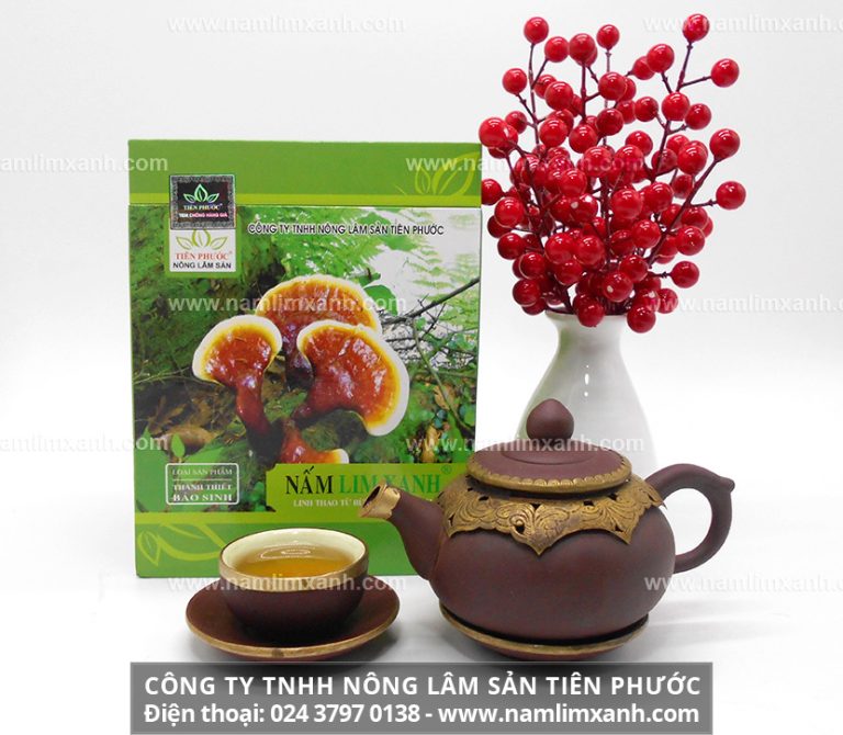 Sản phẩm nấm lim xanh Tiên Phước được bán trong các đại lý ủy quyền chính thức tại Phú Yên