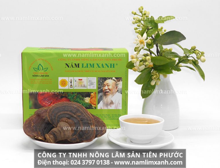 Sản phẩm nấm lim xanh bán tại Bắc Ninh