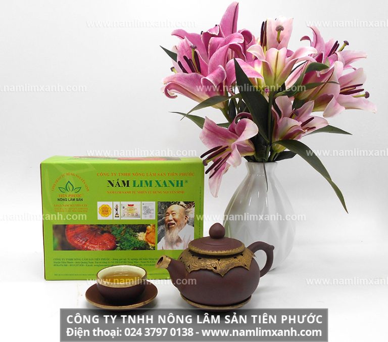 Sản phẩm nấm lim xanh từ rừng tự nhiên Quảng Nam