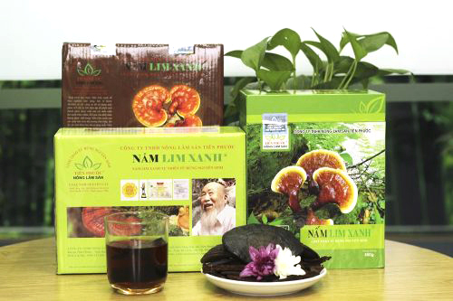 Sản phẩm nấm lim xanh Tiên Phước được bán trong các đại lý ủy quyền chính thức tại Quảng Nam