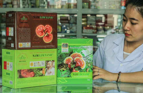 Sản phẩm nấm lim xanh Tiên Phước được bán trong các đại lý ủy quyền chính thức tại Phú Yên 