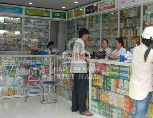 Đại lý nấm lim xanh Tiên Phước tại Quảng Bình