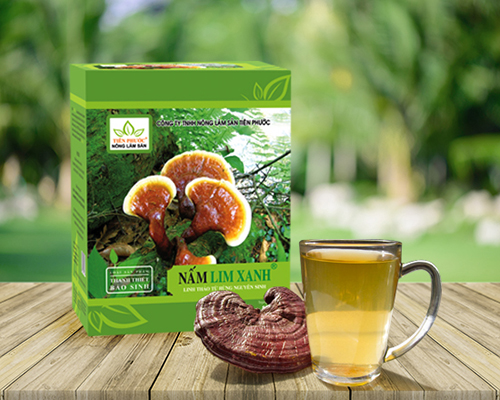Sản phẩm nấm lim xanh rừng chất lượng từ rừng tự nhiên Quảng Nam