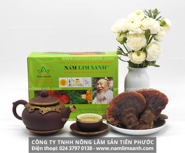 Nấm lim xanh có tác dụng với bệnh ung thư thế nào