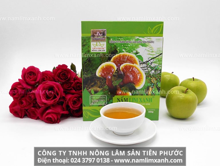 Nấm lim xanh hỗ trợ làm hết ung thư vòm họng