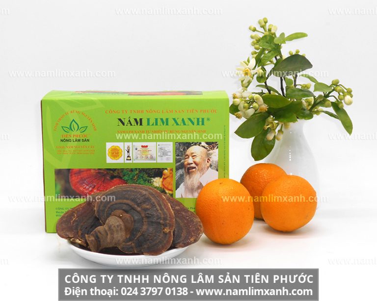 Nấm lim xanh làm hết bệnh ung thư phổi hiệu quả