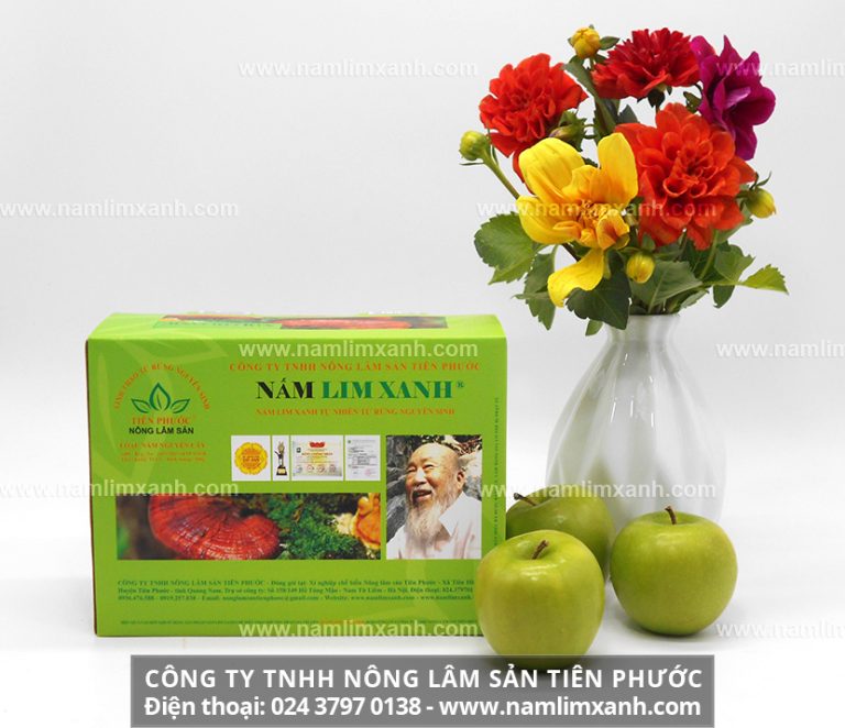 Tác dụng phụ của cây nấm lim xanh hầu như chưa được ghi nhận