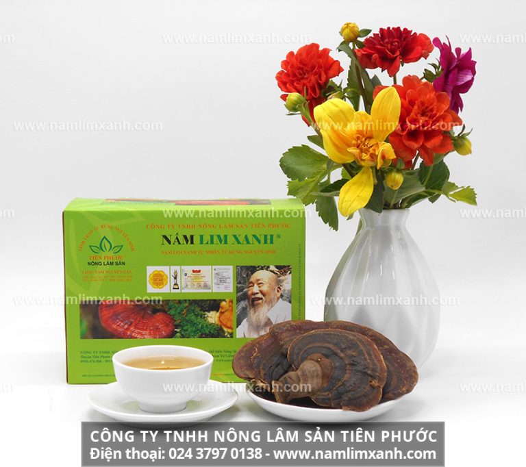 Nấm lim xanh Tiên Phước có hướng dẫn sử dụng của các dược sĩ