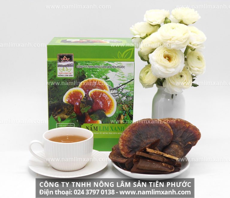 Nấm lim xanh Tiên Phước có nhiều công dụng