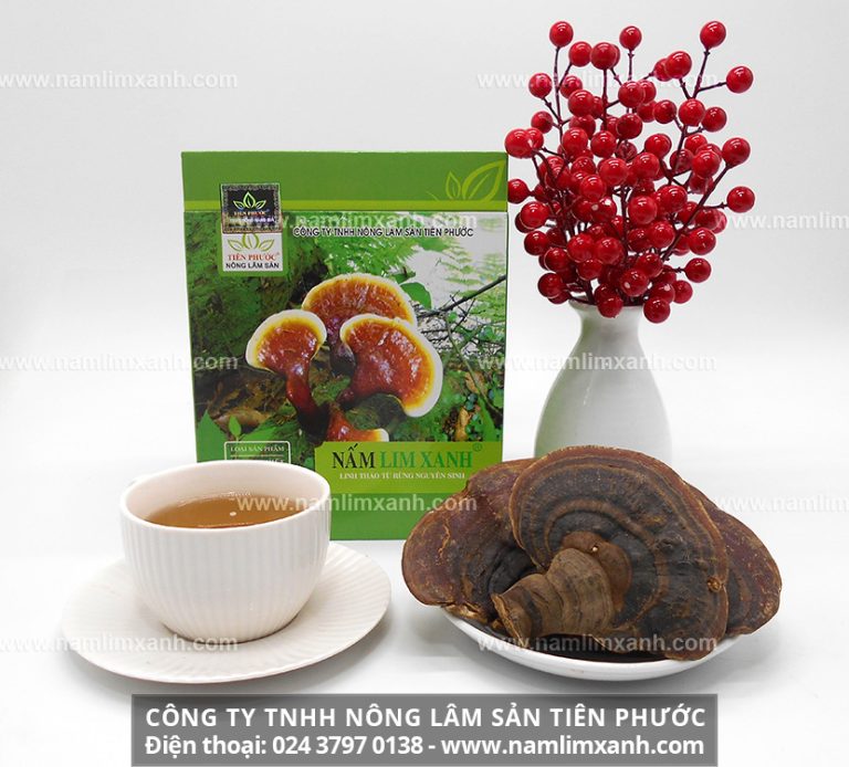 Nấm lim xanh gia truyền Tiên Phước hỗ trợ điều trị bệnh, phục hồi chức năng cơ thể