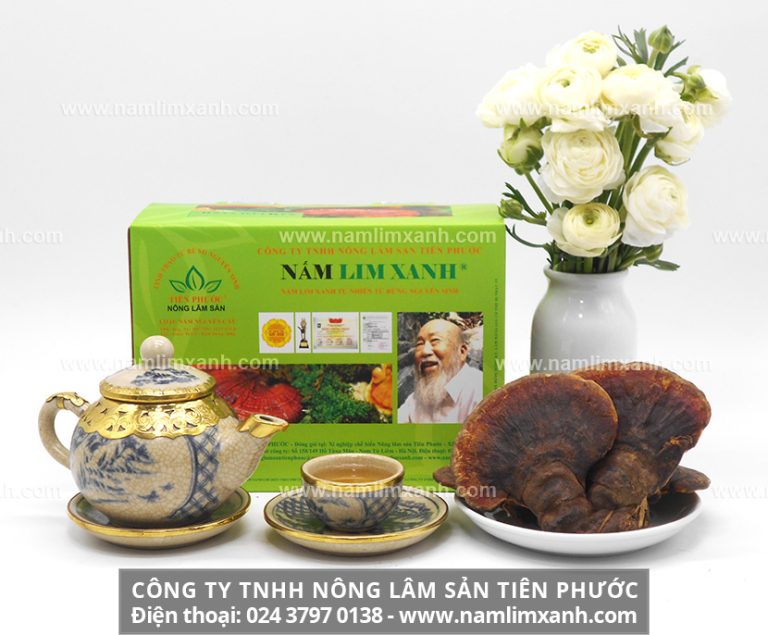 Nấm lim xanh hỗ trợ điều trị các bệnh ung thư nào và cách dùng hiệu quả