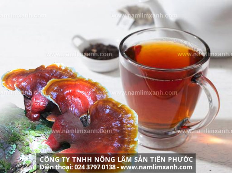 Nấm lim xanh khô sơ chế như thế nào và hướng dẫn cách nấu nấm lim xanh