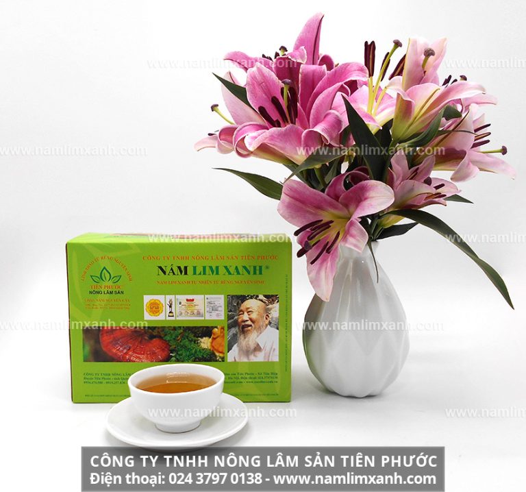 Sản phẩm nấm lim xanh gia truyền Tiên Phước hỗ trợ điều trị bệnh hiệu quả