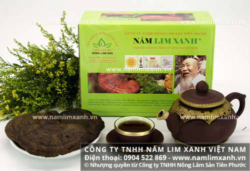 Cách sắc nấm lim xanh hỗ trợ điều trị bệnh