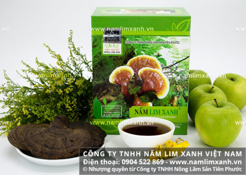 Nấm lim xanh gia truyền Tiên Phước Quảng Nam