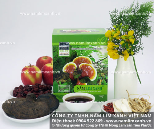 Nấm lim xanh khi sử dụng cần lưu ý về liều lượng