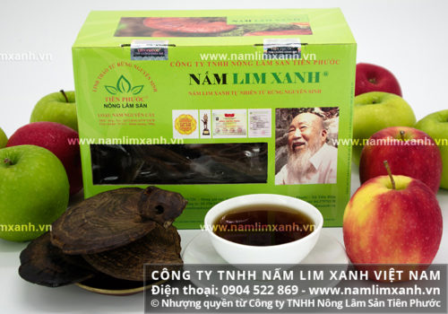 Nấm lim xanh Tiên Phước có nhiều công dụng