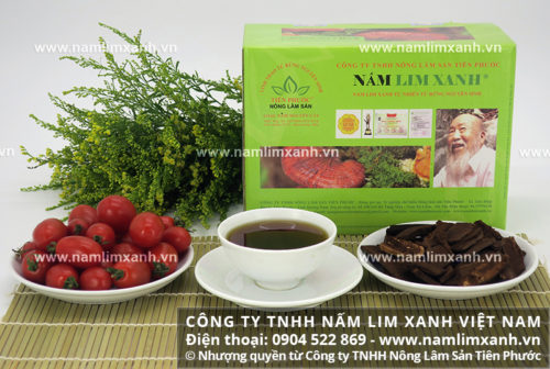 Sản phẩm nấm lim xanh gia truyền Tiên Phước hỗ trợ điều trị bệnh hiệu quả Sản phẩm nấm lim xanh gia truyền Tiên Phước hỗ trợ điều trị bệnh hiệu quả