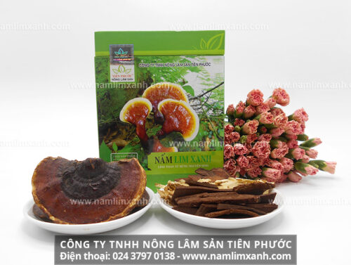 Sản phẩm nấm lim xanh THANH THIẾT BẢO SINH cổ truyền của Công ty Nông lâm sản Tiên Phước.